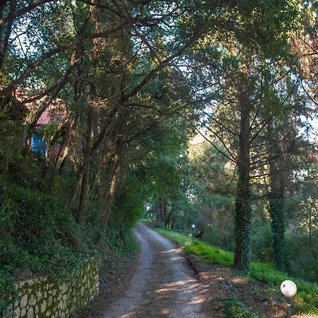 Wildrose Corfu * Perama (Corfu)