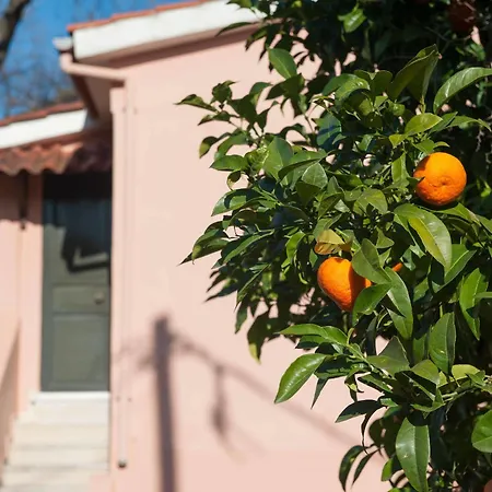 Wildrose Corfu Apartment